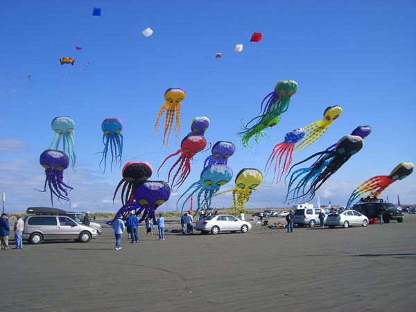Kites are a useful way to promote events and ideas.